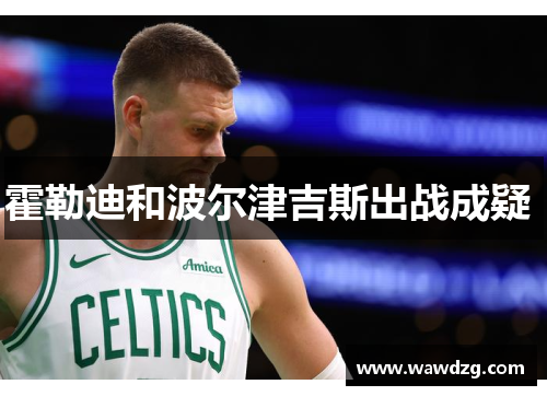 霍勒迪和波尔津吉斯出战成疑 